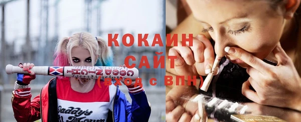 стаф Абинск