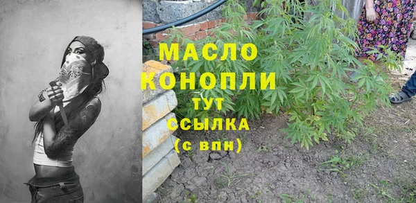 гидра Арсеньев