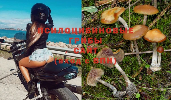 мет Аркадак